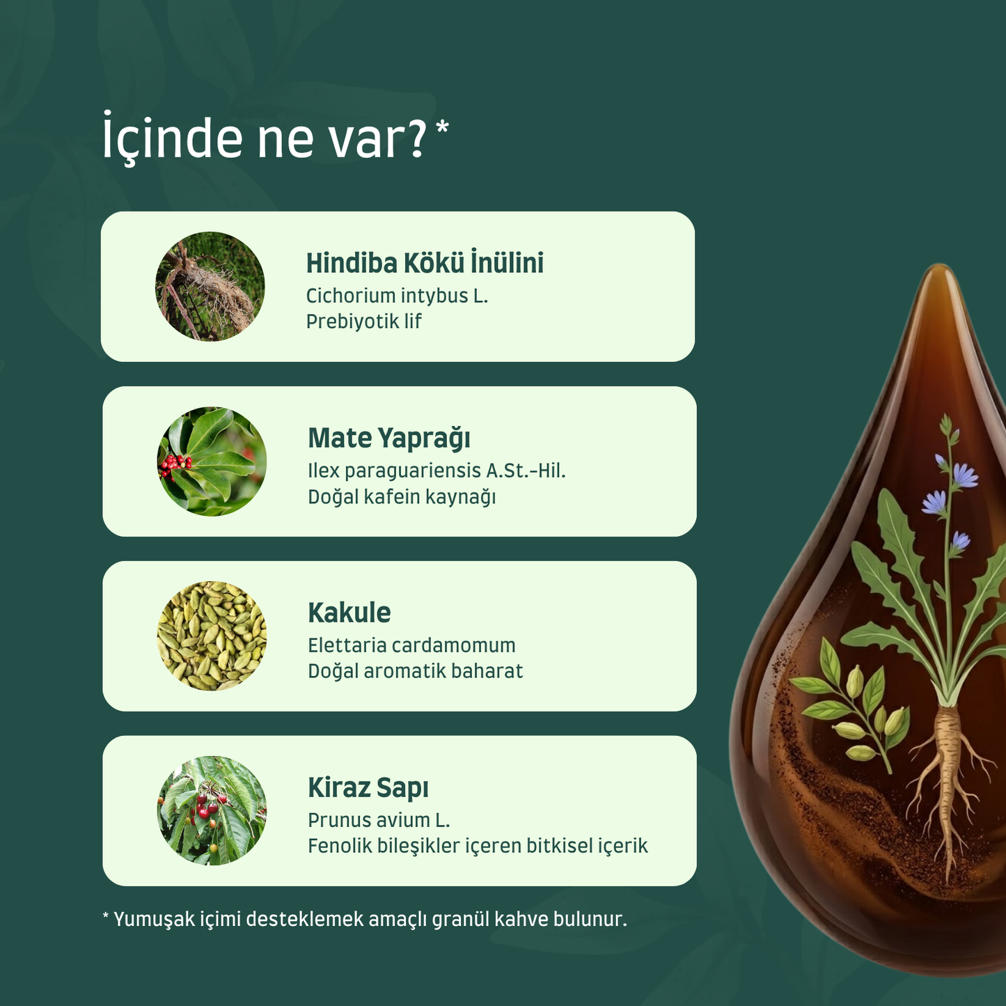 LIMVERA Ödem Atıcı - Şişkinlik Karşıtı Lenf Detoks Kahvesi